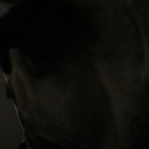 Meet your Posher, Drew